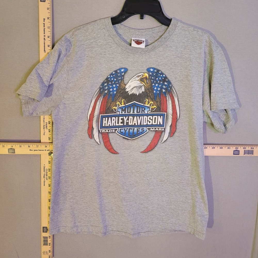 Harley Davidson Mens Gray Eagle Graphic T-Shirt Brandts I-69 Marion IN Tee L
